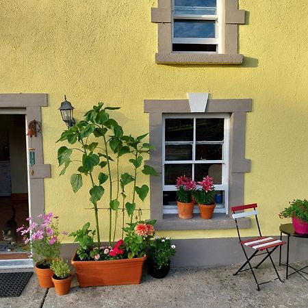 Felicity Cottage Kiltegan Dış mekan fotoğraf